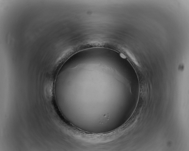 X0000100210023200806061356