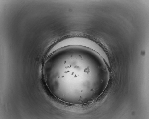 X0000100210024200806061356