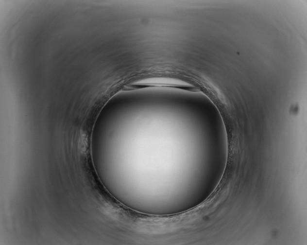 X0000100210025200806061356