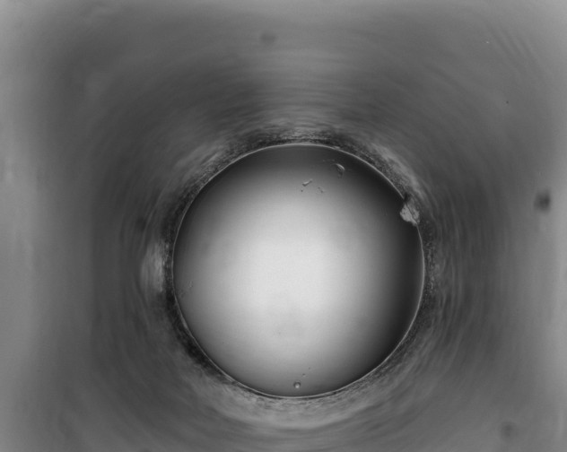 X0000100210026200806061356