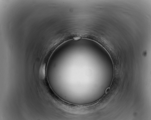 X0000100210028200806061356