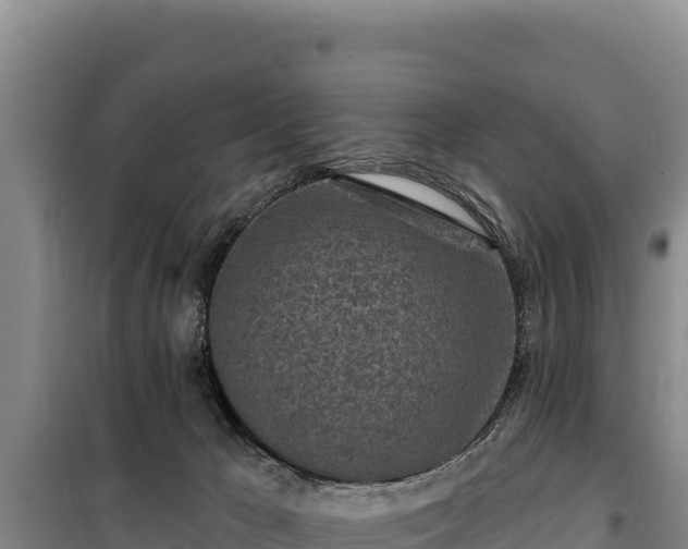 X0000100210029200806061356