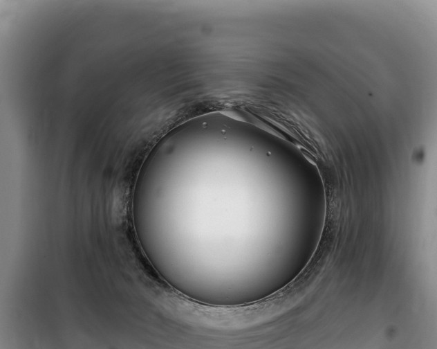 X0000100210030200806061356