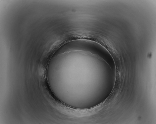 X0000100210031200806061356