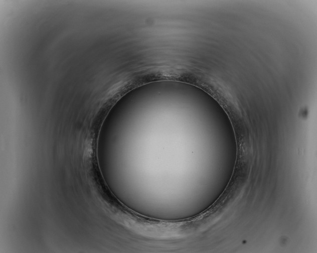 X0000100210032200806061356