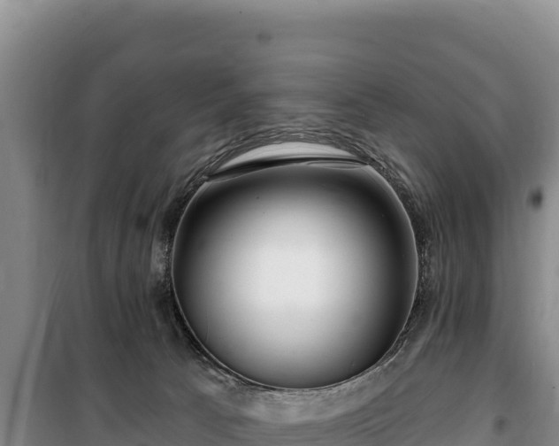 X0000100210033200806061356