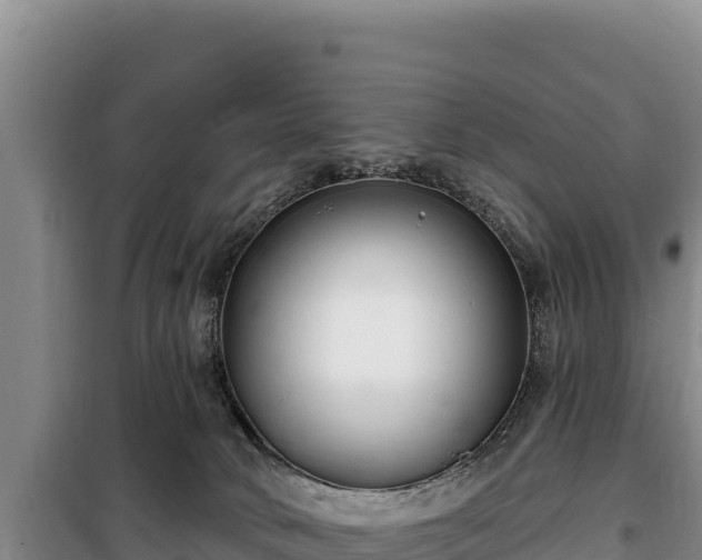 X0000100210034200806061356