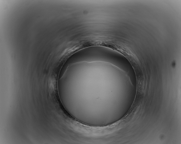 X0000100210035200806061356