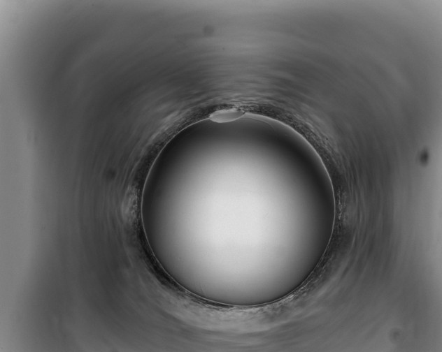 X0000100210036200806061356