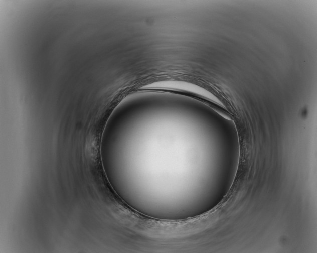 X0000100210037200806061356