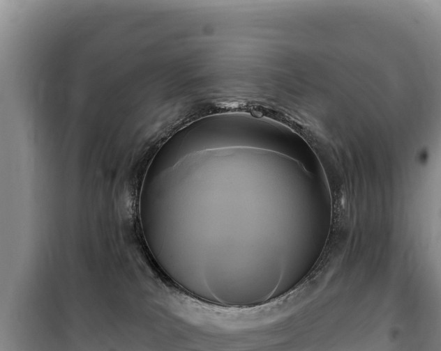 X0000100210039200806061356