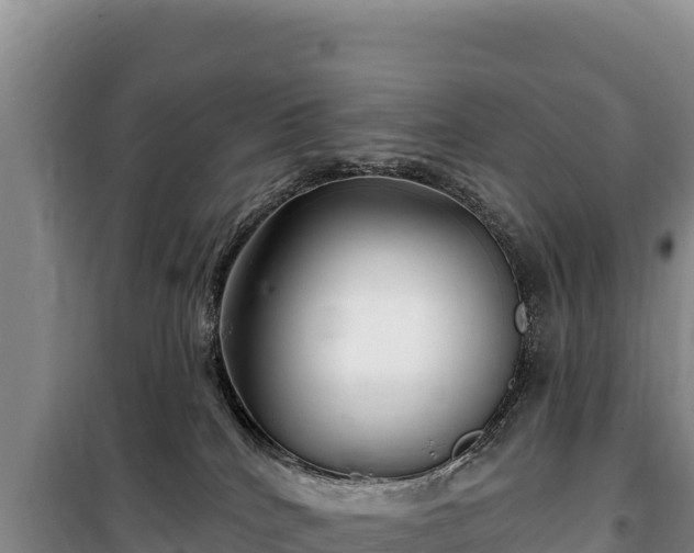 X0000100210040200806061356