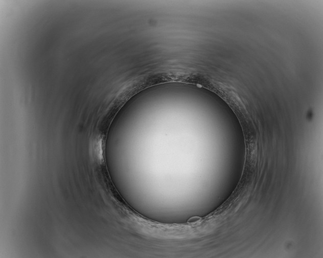 X0000100210042200806061356