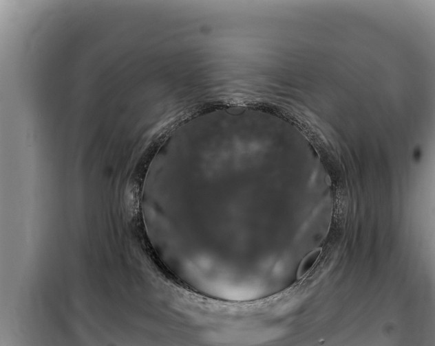 X0000100210043200806061356