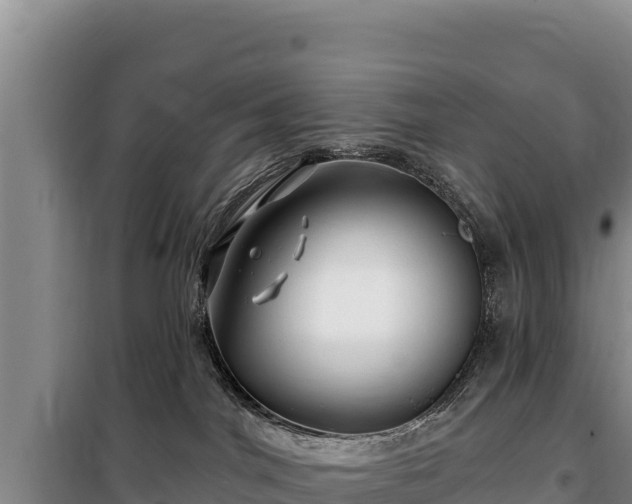 X0000100210044200806061356