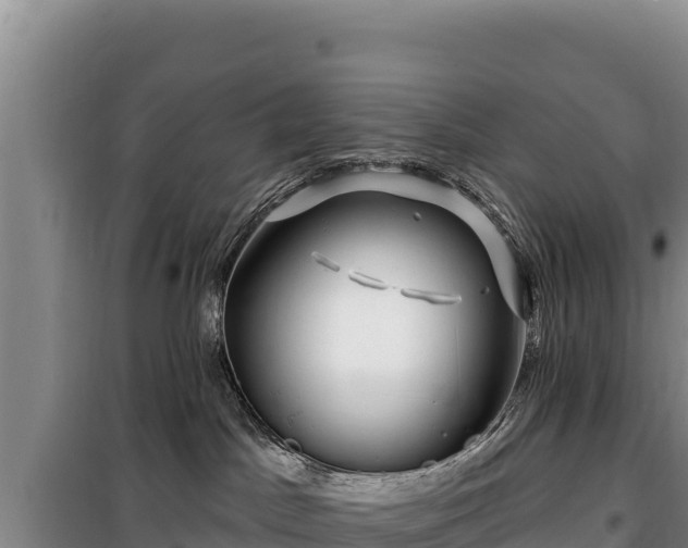 X0000100210045200806061356