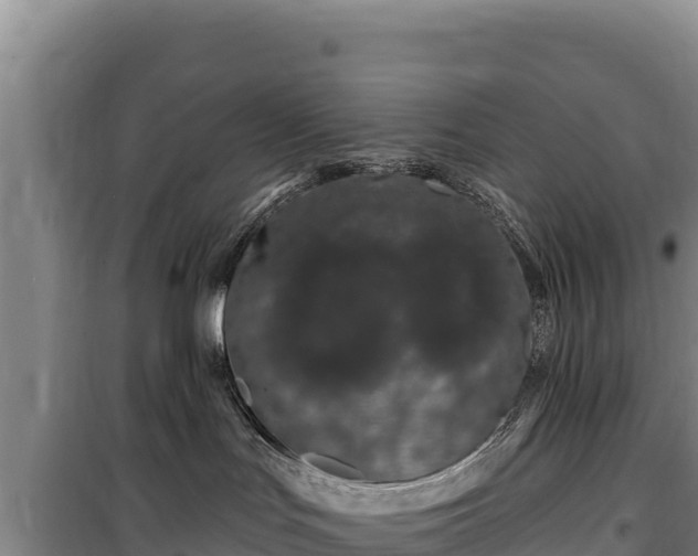 X0000100210047200806061356