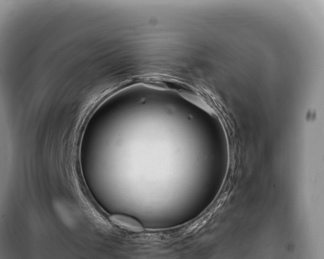 X0000100210049200806061355