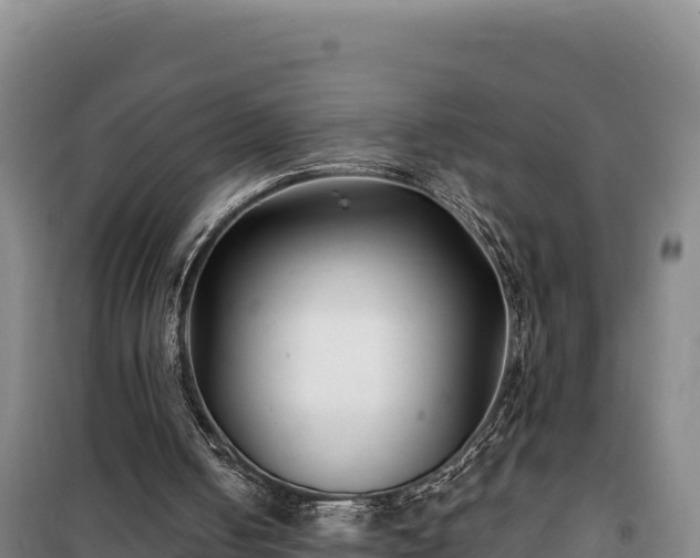 X0000100210050200806061355