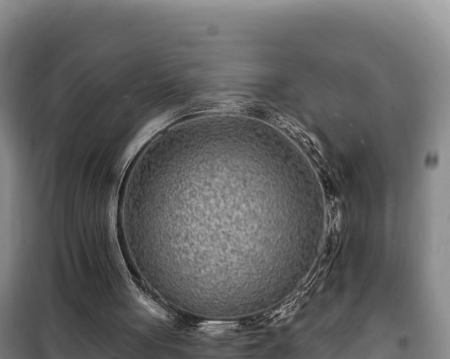 X0000100210051200806061355