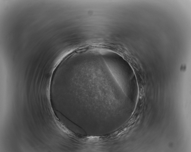 X0000100210052200806061355