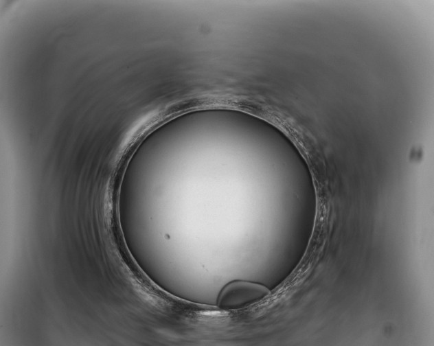 X0000100210053200806061355