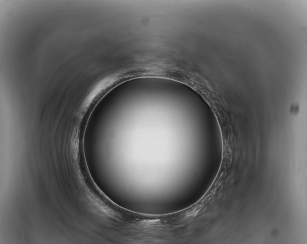 X0000100210054200806061355