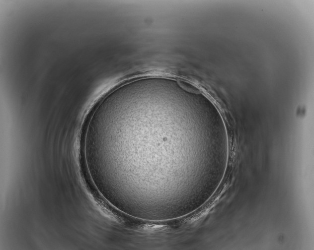 X0000100210055200806061355