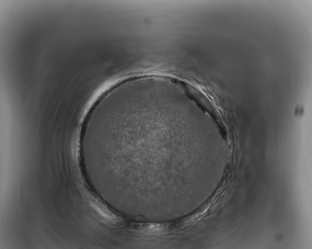 X0000100210056200806061355