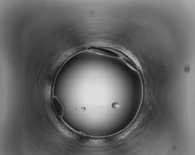 X0000100210057200806061355