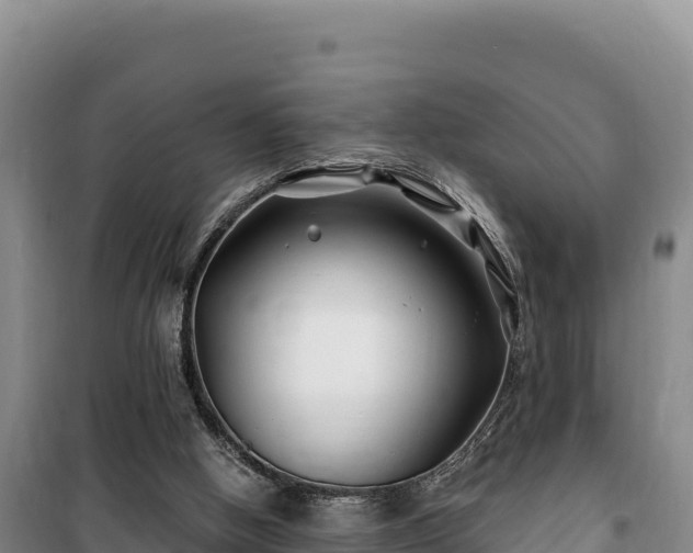 X0000100210058200806061355