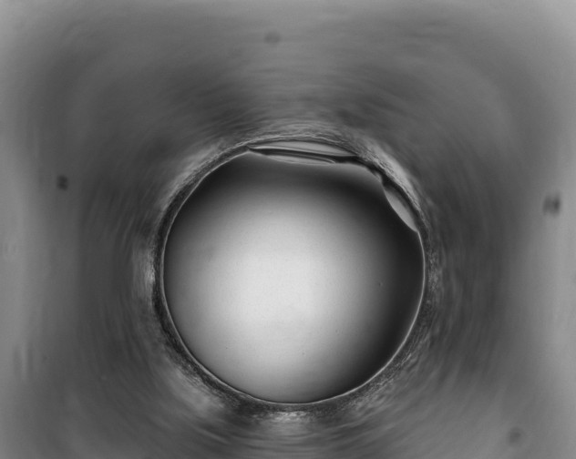 X0000100210059200806061355