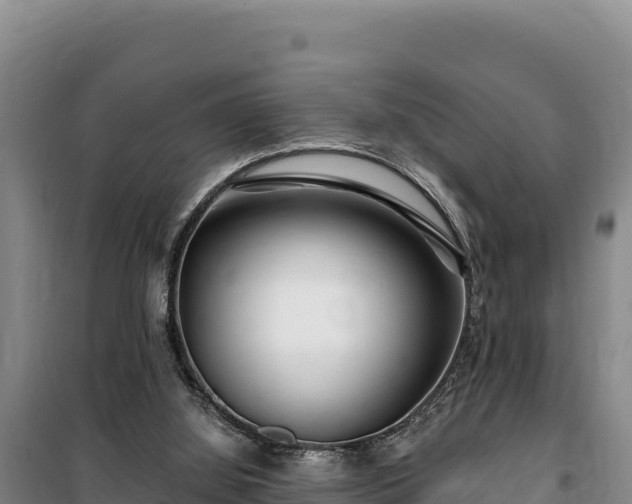 X0000100210060200806061355