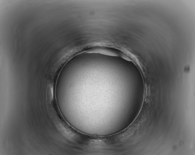 X0000100210061200806061355