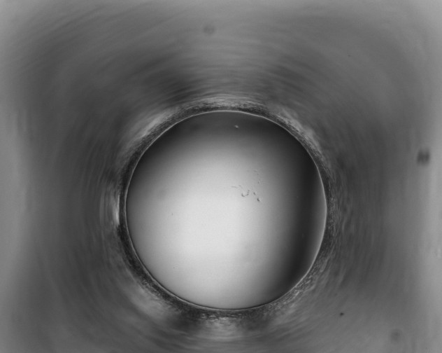 X0000100210062200806061355