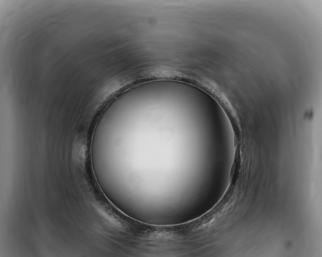 X0000100210063200806061355