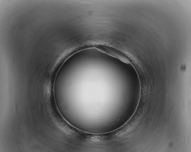 X0000100210064200806061355