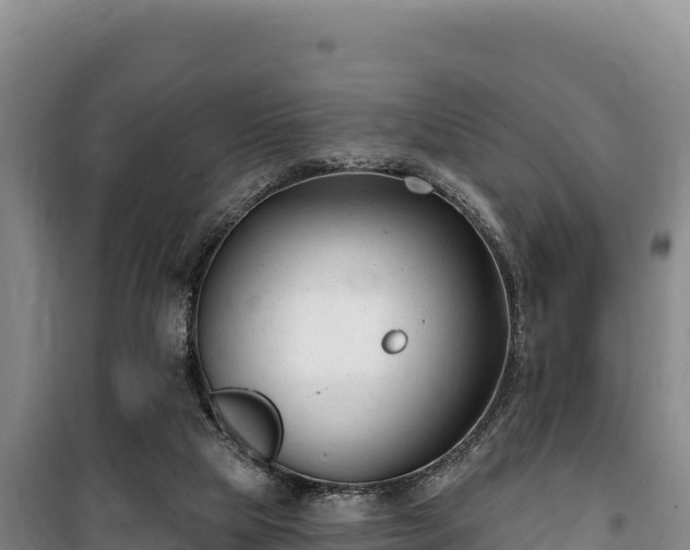 X0000100210065200806061355