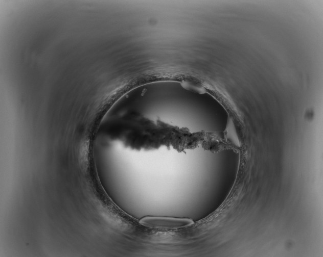 X0000100210066200806061355