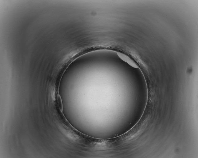 X0000100210068200806061355