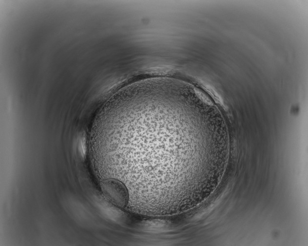 X0000100210069200806061355