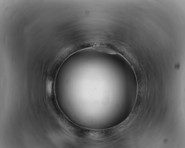 X0000100210070200806061355