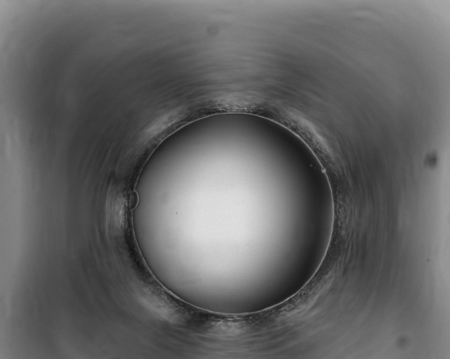 X0000100210071200806061355