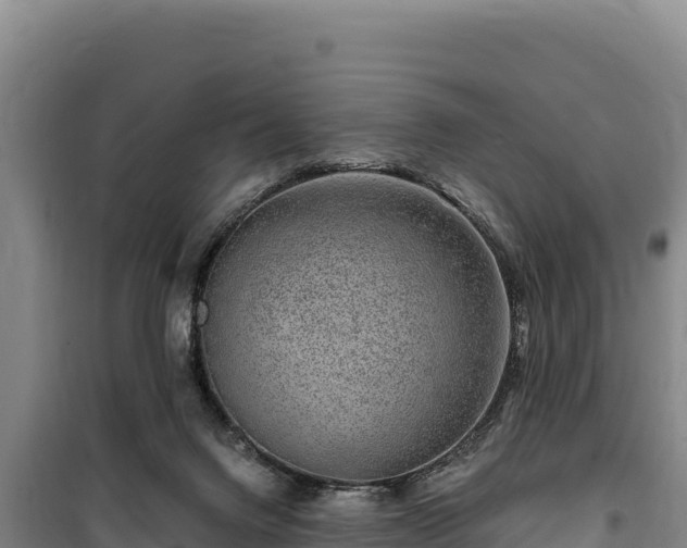 X0000100210072200806061355