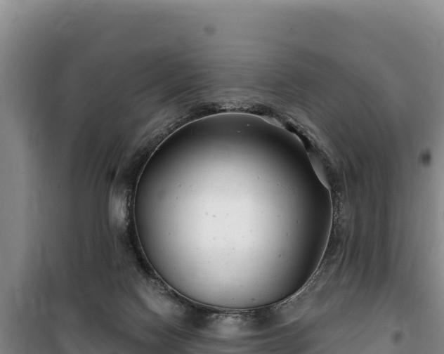 X0000100210074200806061355