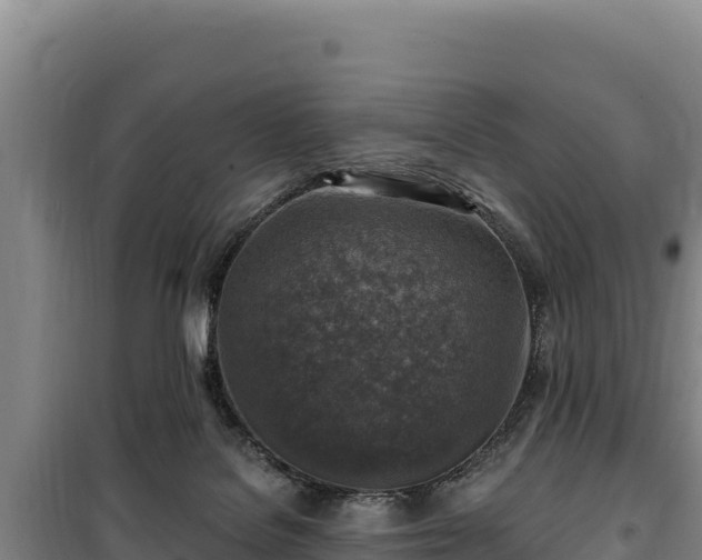 X0000100210076200806061355