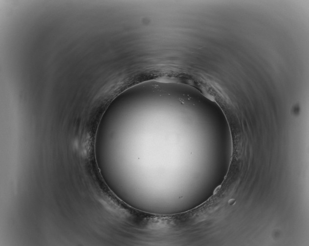 X0000100210077200806061355