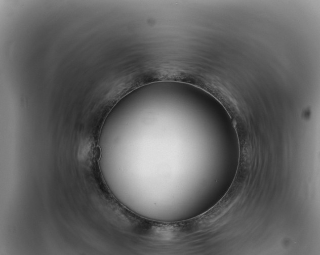 X0000100210079200806061355