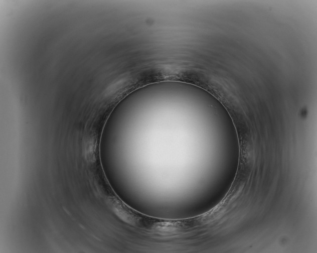 X0000100210082200806061355