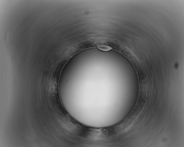 X0000100210083200806061355